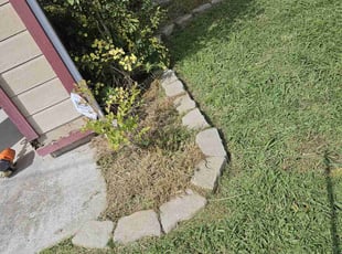 Weeding by Juan Rodriguez for Traci C. in Sacramento, CA