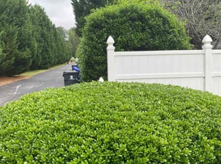 Bush Trimming by Bobby Goggins for Frank J. in Stockbridge, GA