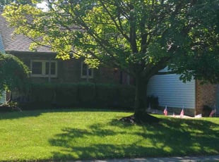 Prakash B.'s Lawn Service service result