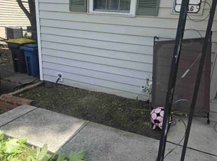 Weeding by Nicholas Weber for Sherry A. in Cincinnati, OH