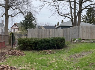 Bush Trimming by David Bowen for Tom H. in Syracuse, NY