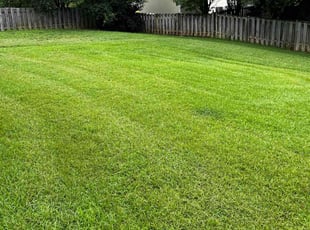 Bryant V.'s Lawn Mowing Service service result
