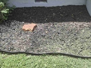 Weeding by Gil Bonfil for Rebecca G. in Oklahoma City, OK