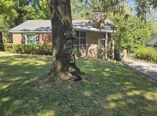 Linda C.'s Grass Cutting service result