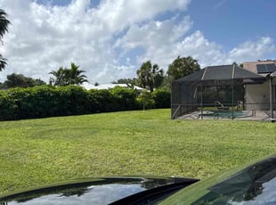 Michael B.'s Lawn Care service result
