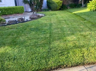 Stephen D.'s Lawn Mowing service result