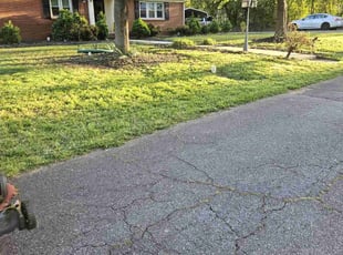 Benjamin H.'s Lawn Service service result