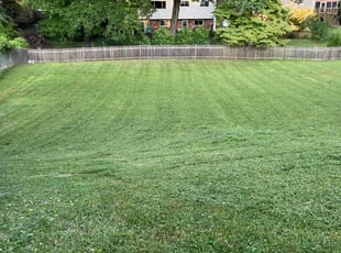 Katelyn R.'s Lawn Service service result