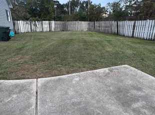 Crystal N.'s Lawn Service service result