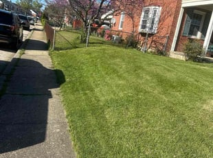 Charlene M.'s Lawn Care service result
