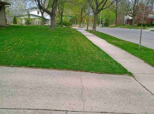 Verniesa A.'s Lawn Maintenance service result