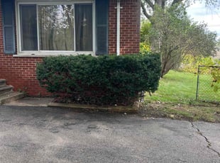 Bush Trimming by Vincent Nino for Shanker B. in Farmington Hills, MI
