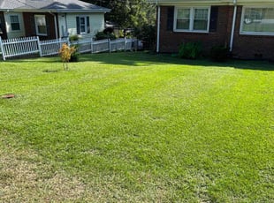 Miranda J.'s Yard Cutting service result