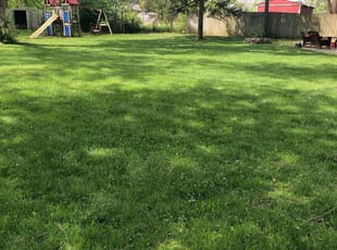 Alice S.'s Lawn Mowing service result