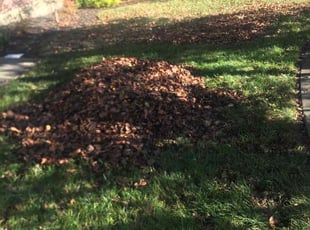 Leaf Removal by James Abernathy for Bob J. in Loveland, OH