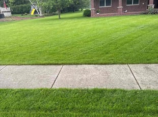 Annie M.'s Yard Cutting service result