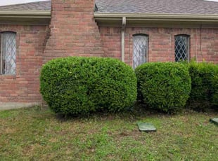 Bush Trimming by Elizabeth Cruz for Kathy H. in Allen, TX