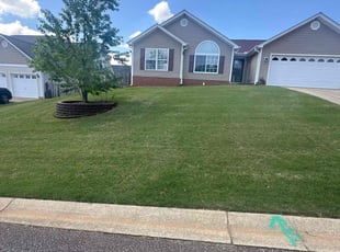 Connie L.'s Lawn Mowing service result