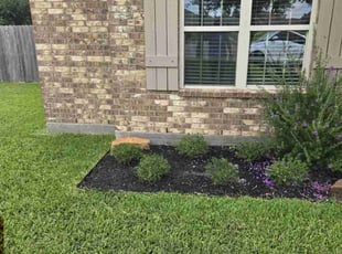 Weeding by Diego Escamilla soto for Andrea R. in Bryan, TX