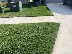 Anette R.'s Lawn Mowing service result