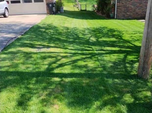 Desiree B.'s Lawn Mowing service result