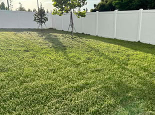 Ruth B.'s Lawn Mowing service result