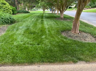 Donna P.'s Lawn Service service result