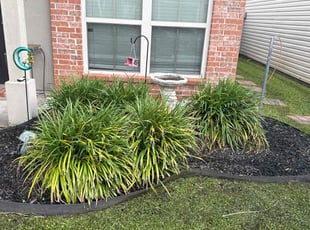 Weeding by Darynnette Roldan for Kirstie B. in Denham Springs, LA