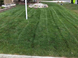 MINGJUN H.'s Lawn Care service result