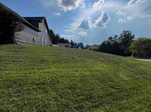 Shawna S.'s Lawn Mowing Service service result
