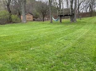 Antoinette R.'s Lawn Service service result