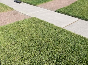 Jeanne H.'s Lawn Care service result