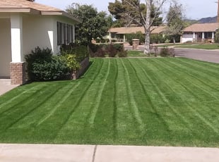 Robert C.'s Grass Cutting service result