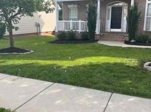 Earline G.'s Grass Cutting service result