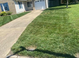 Shawn B.'s Grass Cutting service result