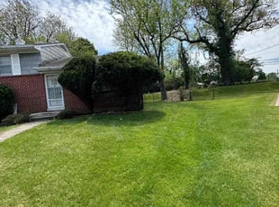 Michael B.'s Lawn Mowing Service service result