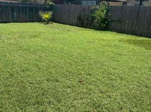 Bharath G.'s Grass Cutting service result