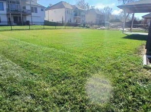 Cybill M.'s Lawn Care service result