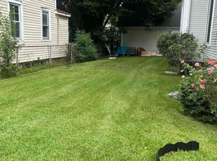 Craig B.'s Grass Cutting service result