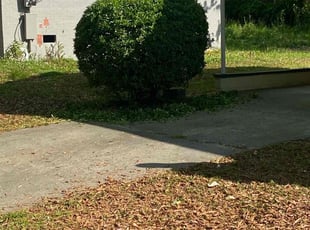 Bush Trimming by Christian Becker for Rebecca W. in Clayton, NC