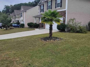 Caitlin M.'s Lawn Maintenance service result
