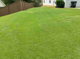 CT B.'s Lawn Mowing Service service result