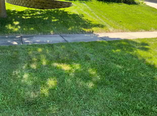 Ming O.'s Lawn Care service result