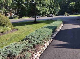 ADLAI C.'s Lawn Service service result