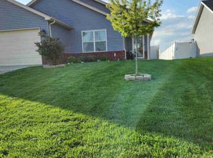 Ike S.'s Lawn Care service result