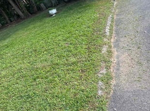 Adeline K.'s Lawn Care service result