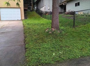 Harold B.'s Grass Cutting service result