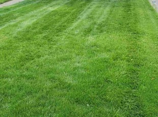 Janet G.'s Lawn Mowing service result