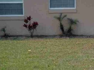 Weeding by Shane Ray for Renee D. in Titusville, FL