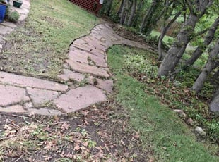 Cleanups by Evelin Duran for Phillip S. in Castle Rock, CO